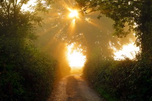 Morning Sun